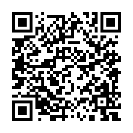 QR code for Q384I