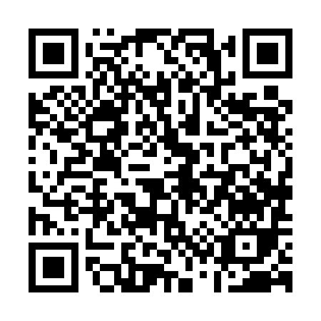QR code for Q385I