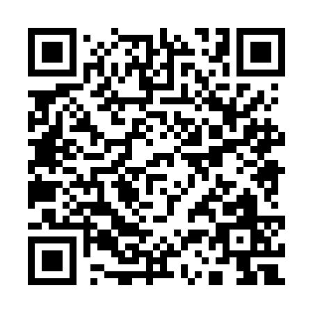 QR code for Q386C