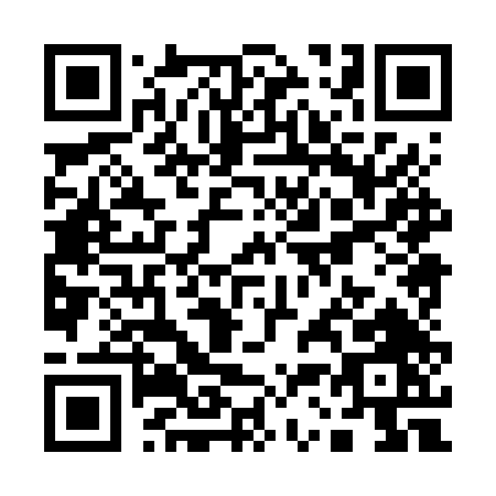 QR code for Q386T