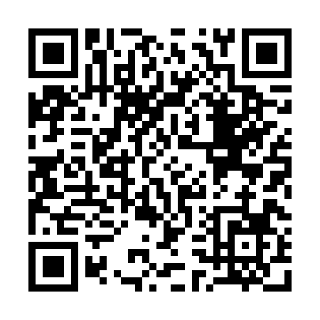 QR code for Q386X