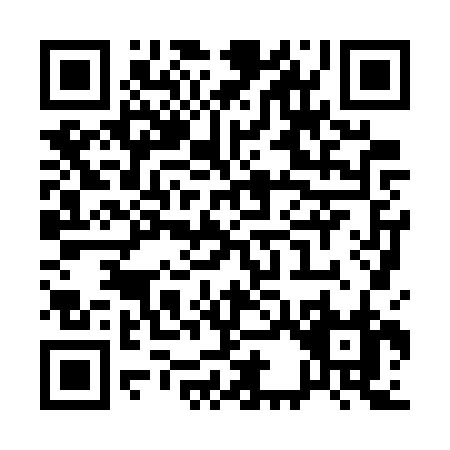 QR code for Q387R