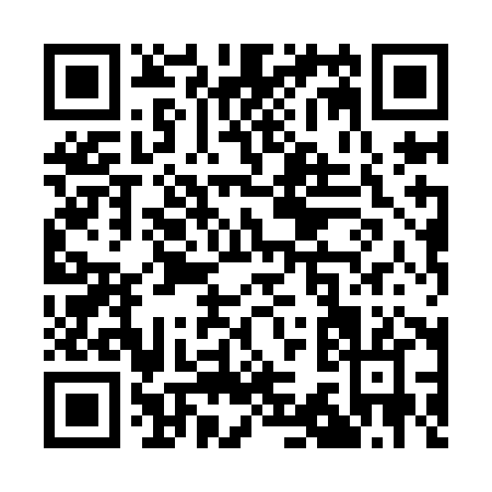QR code for Q389H