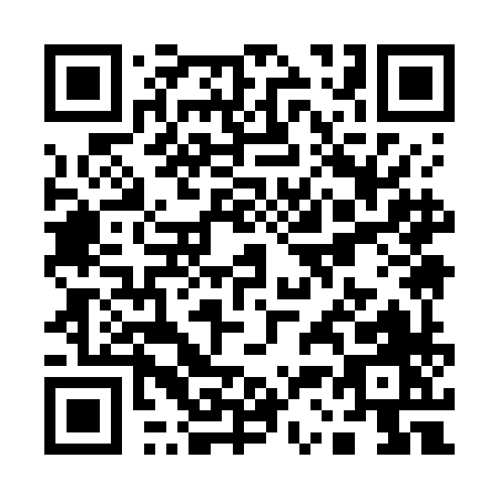 QR code for Q397H