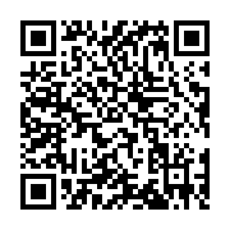 QR code for Q397R