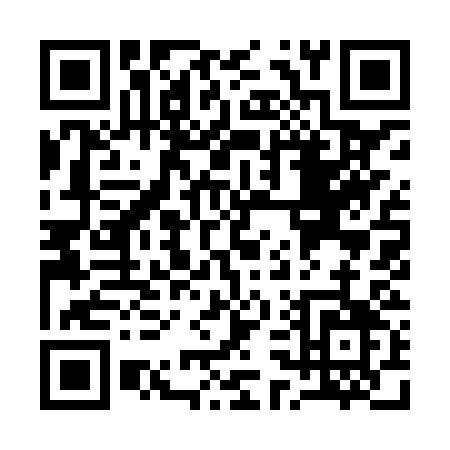 QR code for Q398S