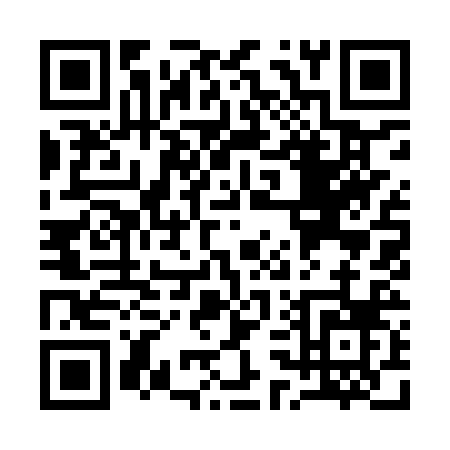 QR code for Q399R