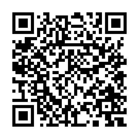 QR code for Q409P