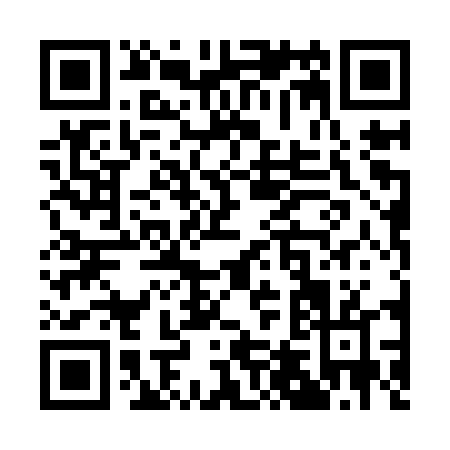 QR code for Q409T