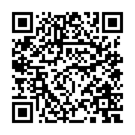 QR code for Q419G