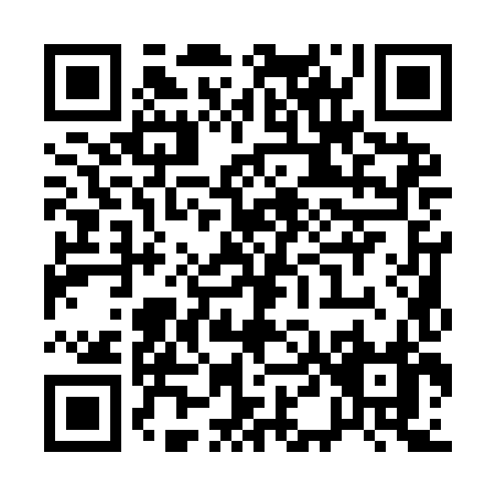 QR code for Q419H