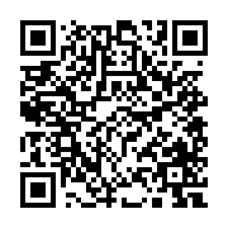 QR code for Q420X