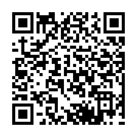 QR code for Q433N