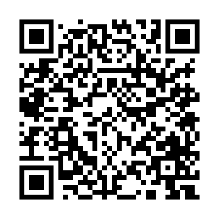 QR code for Q438H