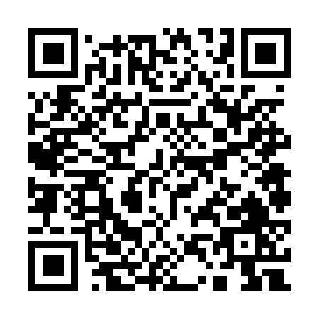 QR code for Q460V