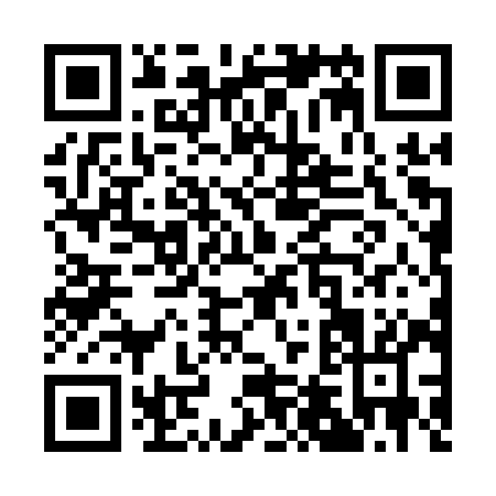QR code for Q461Y