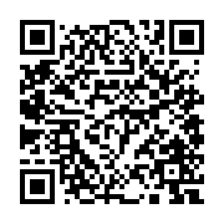 QR code for Q462E
