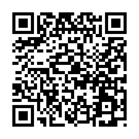 QR code for Q481N