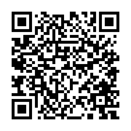 QR code for Q486N