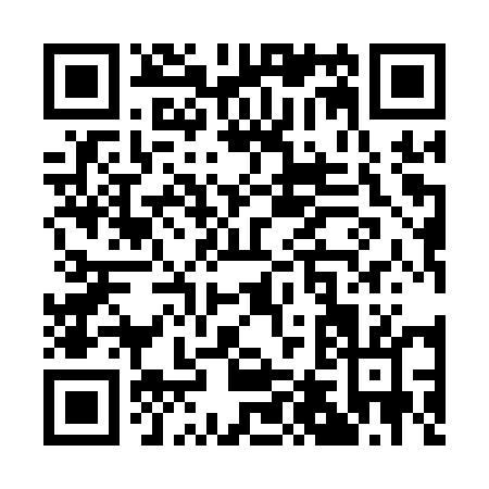 QR code for Q491U