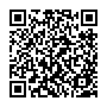 QR code for plate Q49 2MG