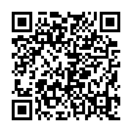QR code for Q493ZO