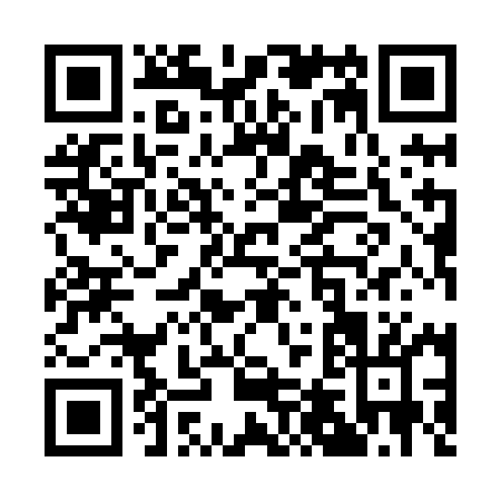 QR code for Q498M