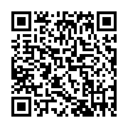 QR code for Q501T
