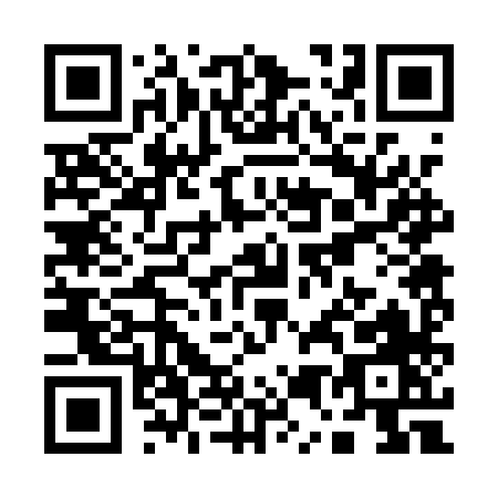 QR code for Q521X