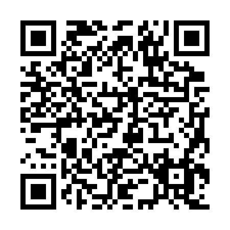 QR code for Q533V