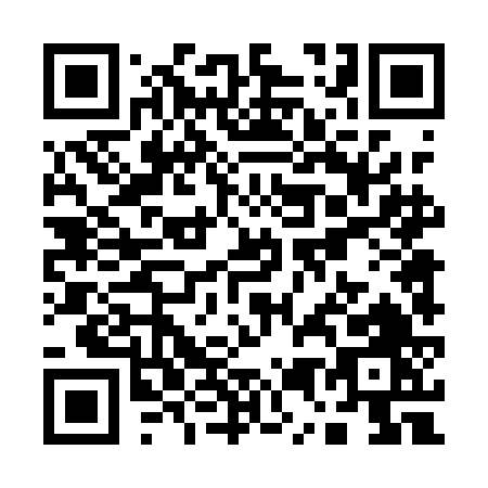 QR code for Q541F