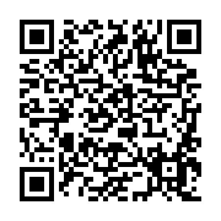 QR code for Q542L