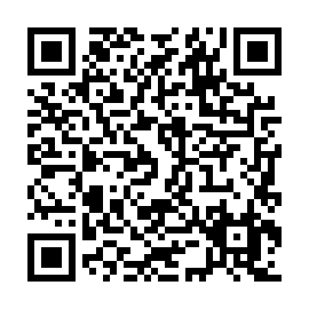 QR code for Q545Z