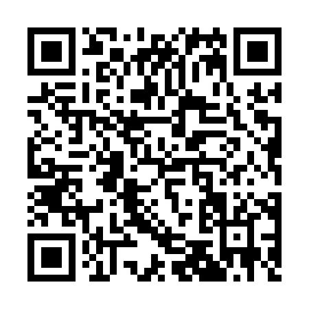 QR code for Q551X