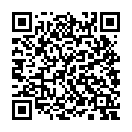 QR code for Q56 2PP