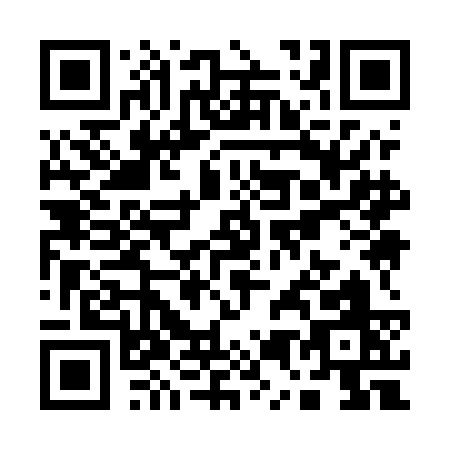 QR code for Q595C