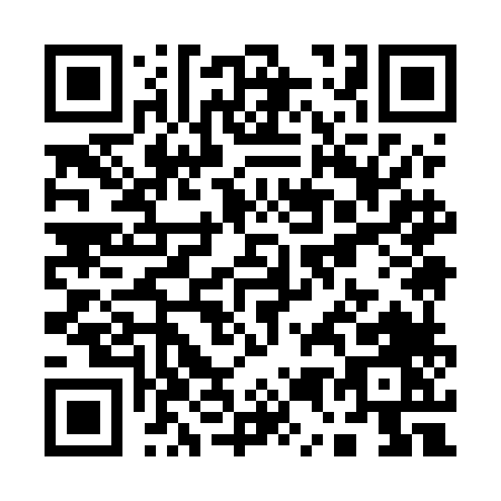 QR code for Q595L