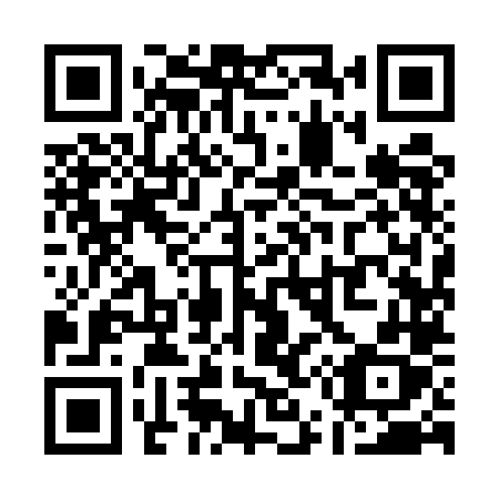 QR code for Q595LX