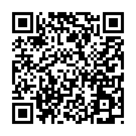 QR code for Q595X