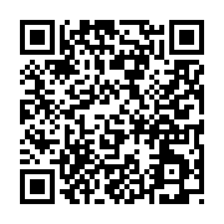 QR code for Q596A