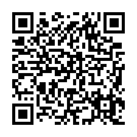 QR code for Q597Z