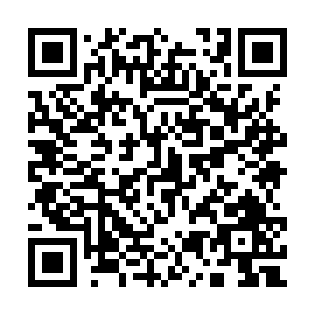 QR code for Q599V