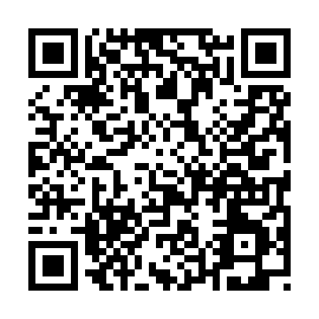 QR code for Q599X
