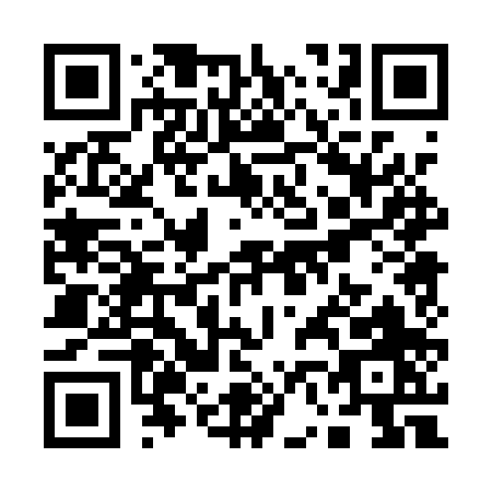 QR code for Q601P