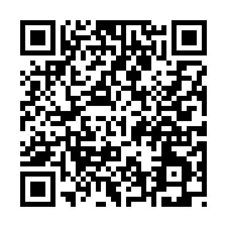 QR code for Q603X