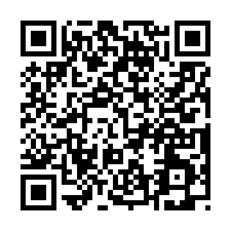 QR code for Q636P