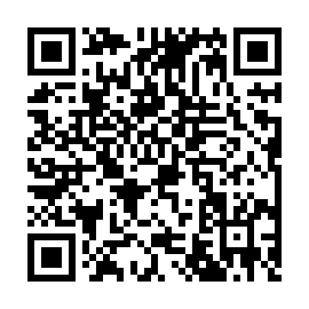 QR code for Q638Y