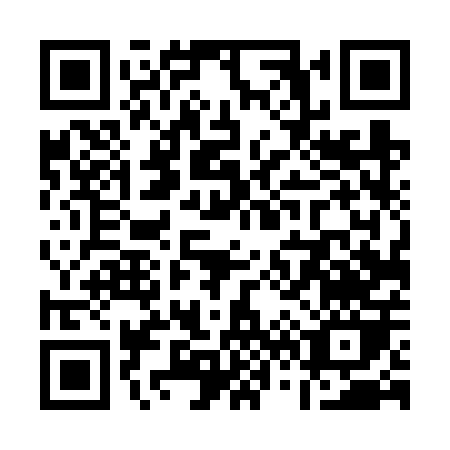 QR code for Q646P
