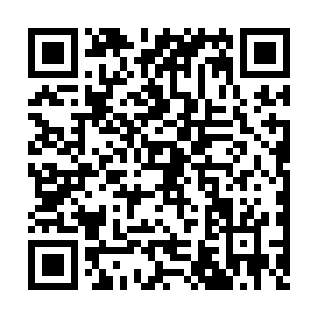 QR code for Q661G