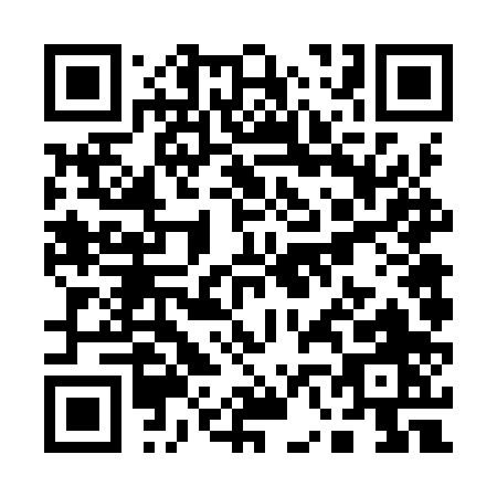 QR code for Q669P
